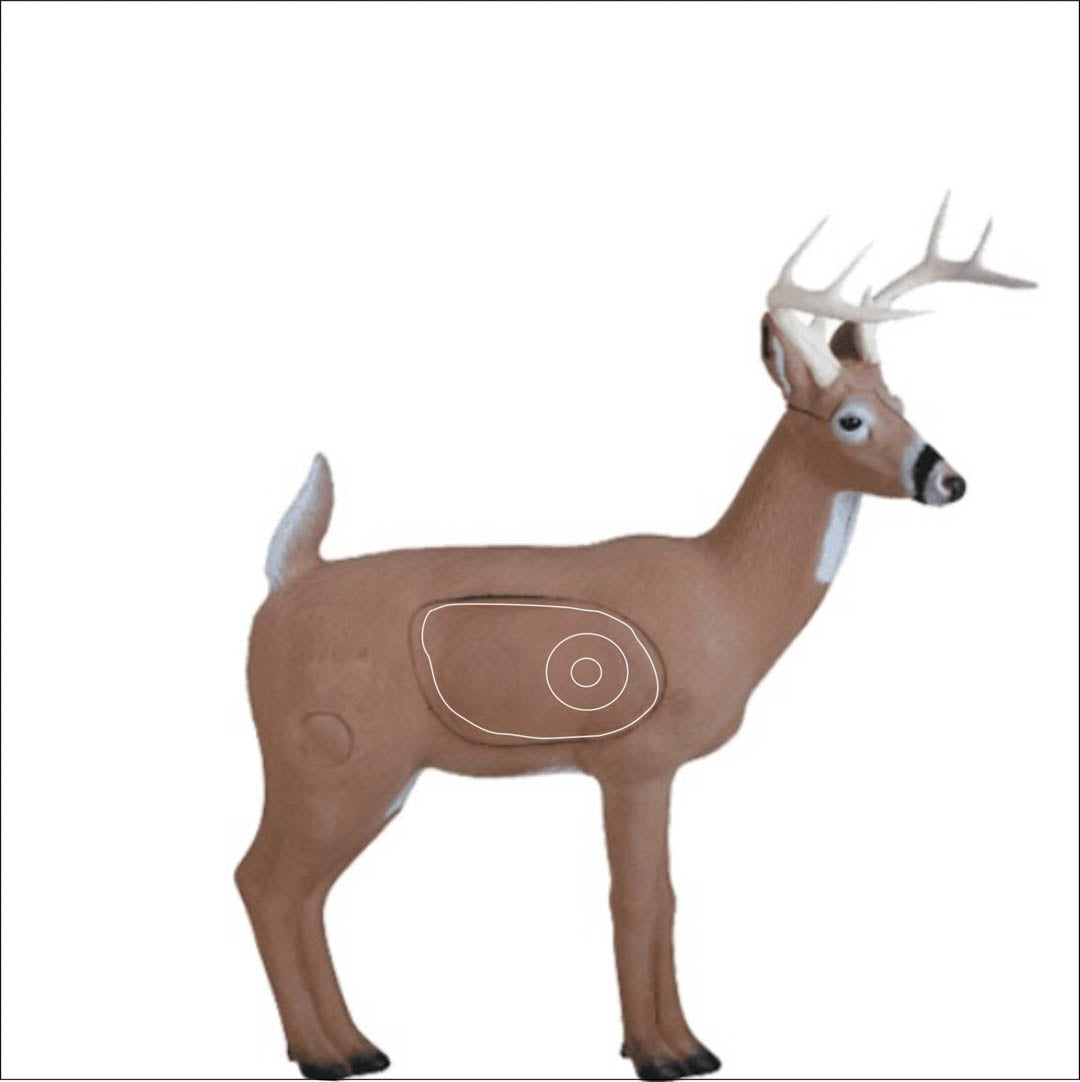 Set of Practice NASP Animal Target Tough Target Faces