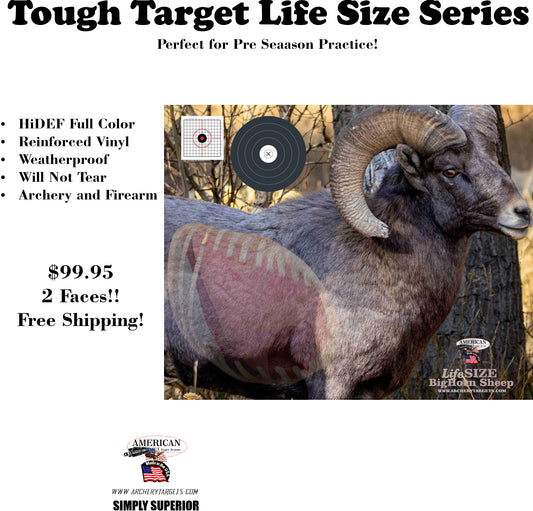 2 pack Life Size Big Horn Sheep (TTLSBHS6048)