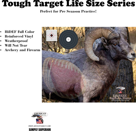 2 pack Life Size Big Horn Sheep