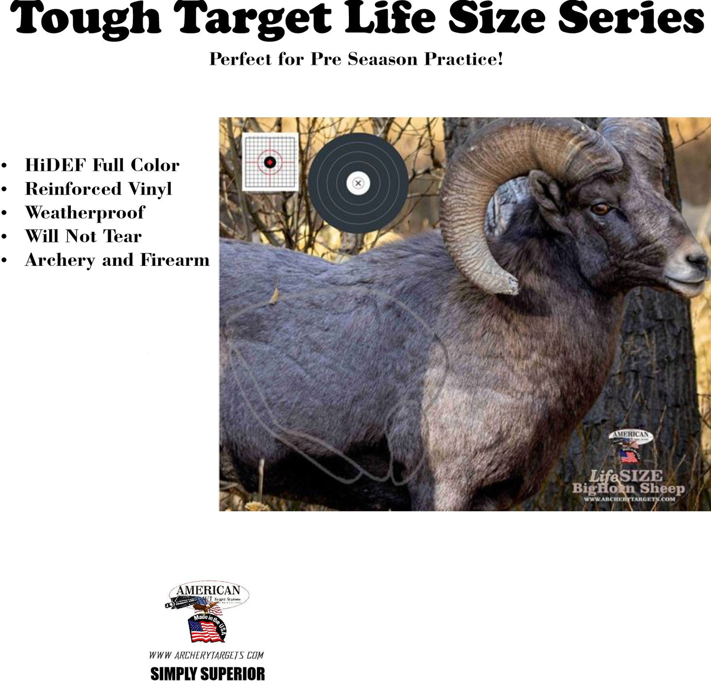2 pack Life Size Big Horn Sheep