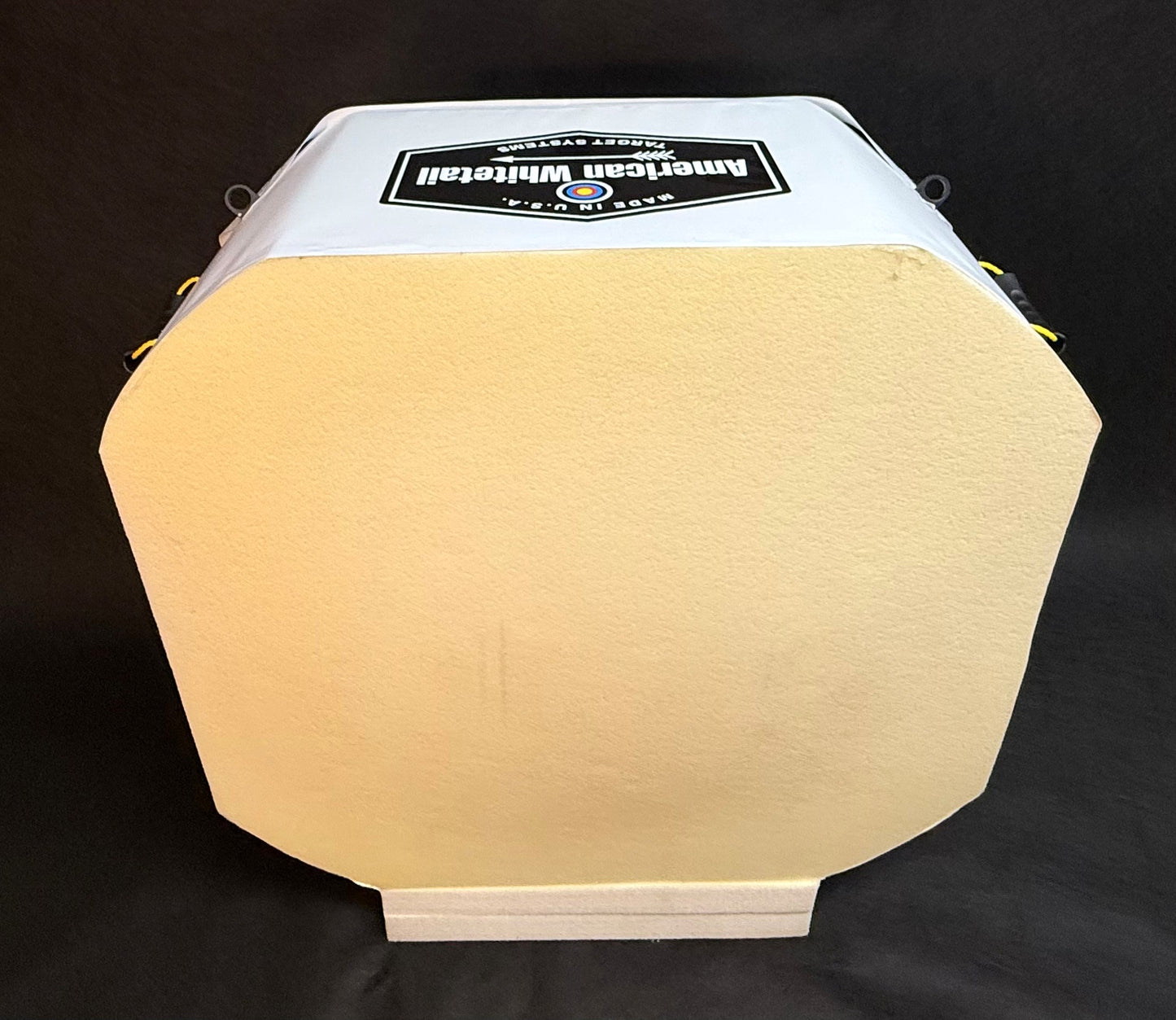 SCHOOL PRACTICE MAT 38 (OFFICIAL AIMS PROGRAM TARGET)