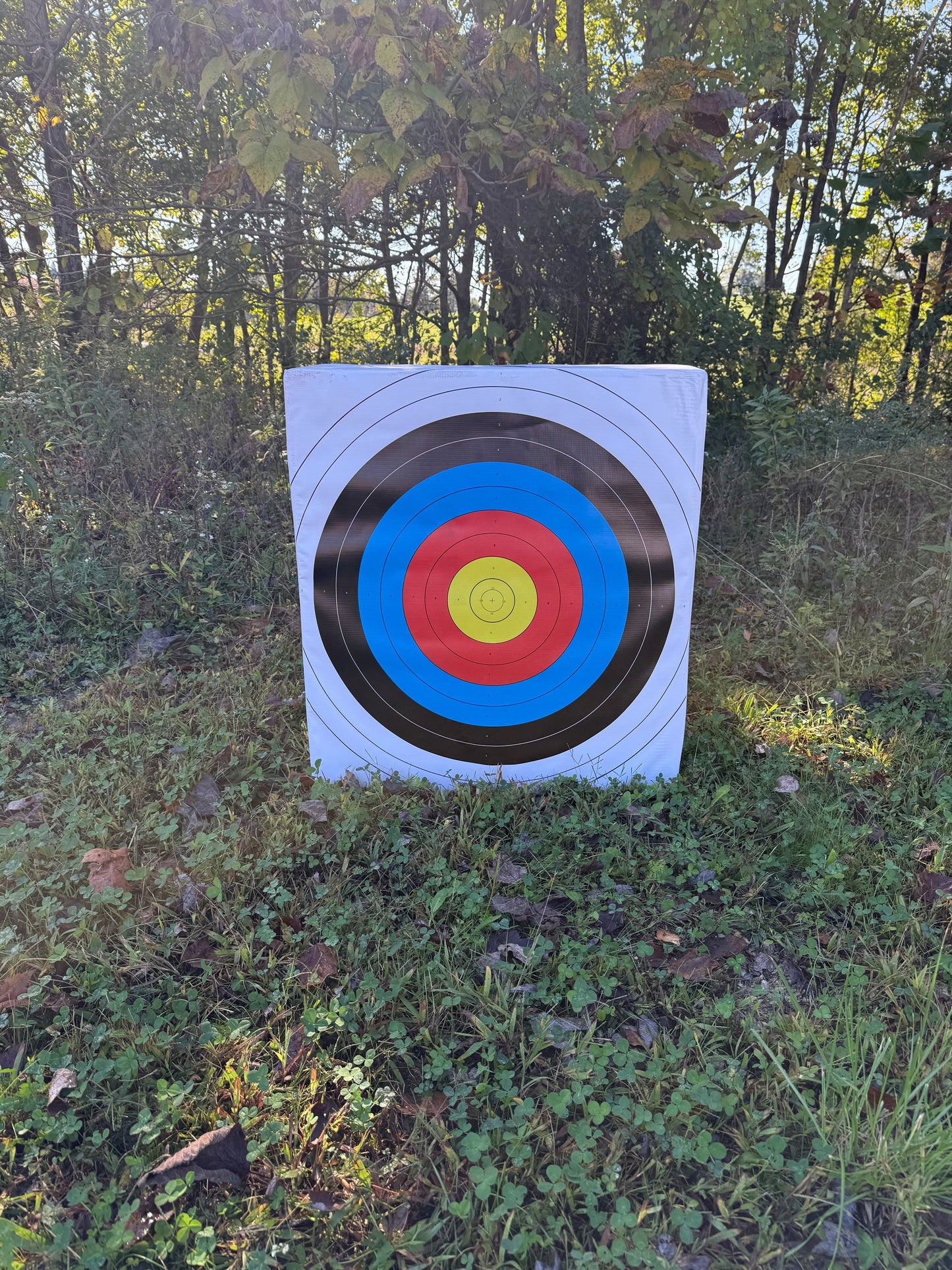 School Youth Target-SYT