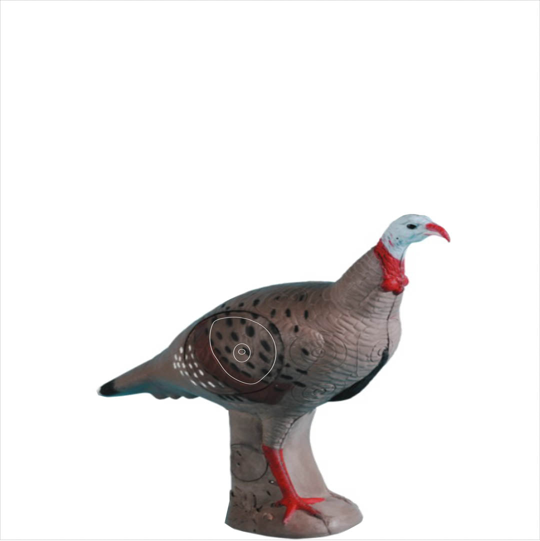Set of Practice NASP Animal Target Tough Target Faces