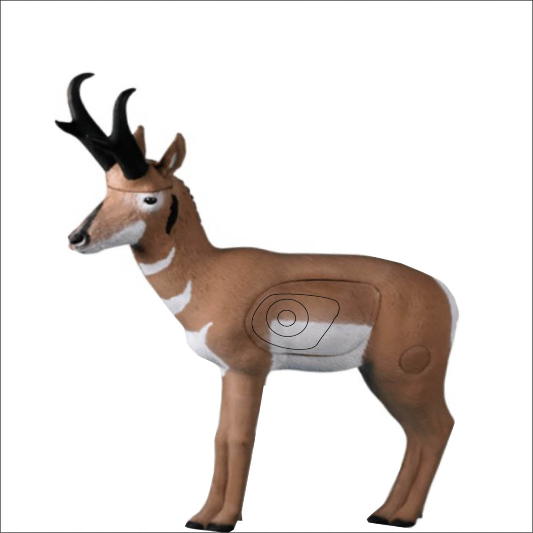 Set of Practice NASP Animal Target Tough Target Faces