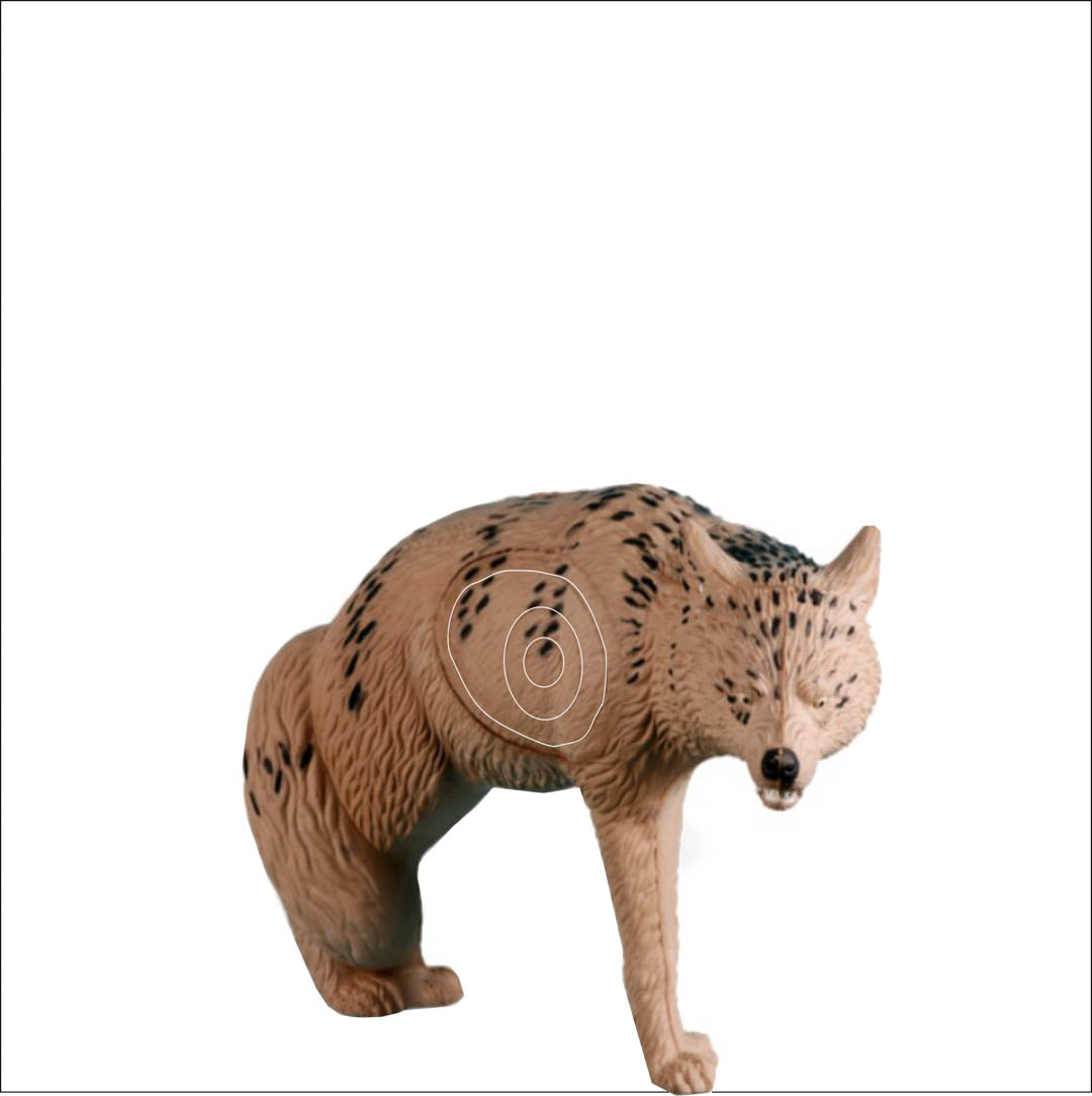 Set of Practice NASP Animal Target Tough Target Faces