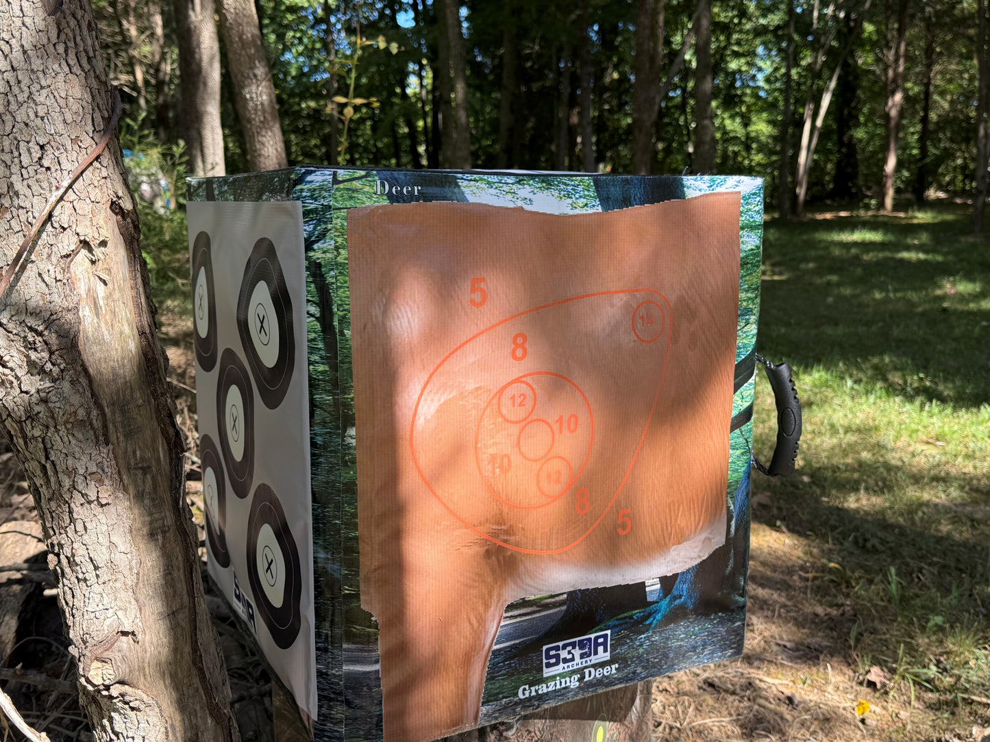 S3DA HybridCUBE - DEER SERIES