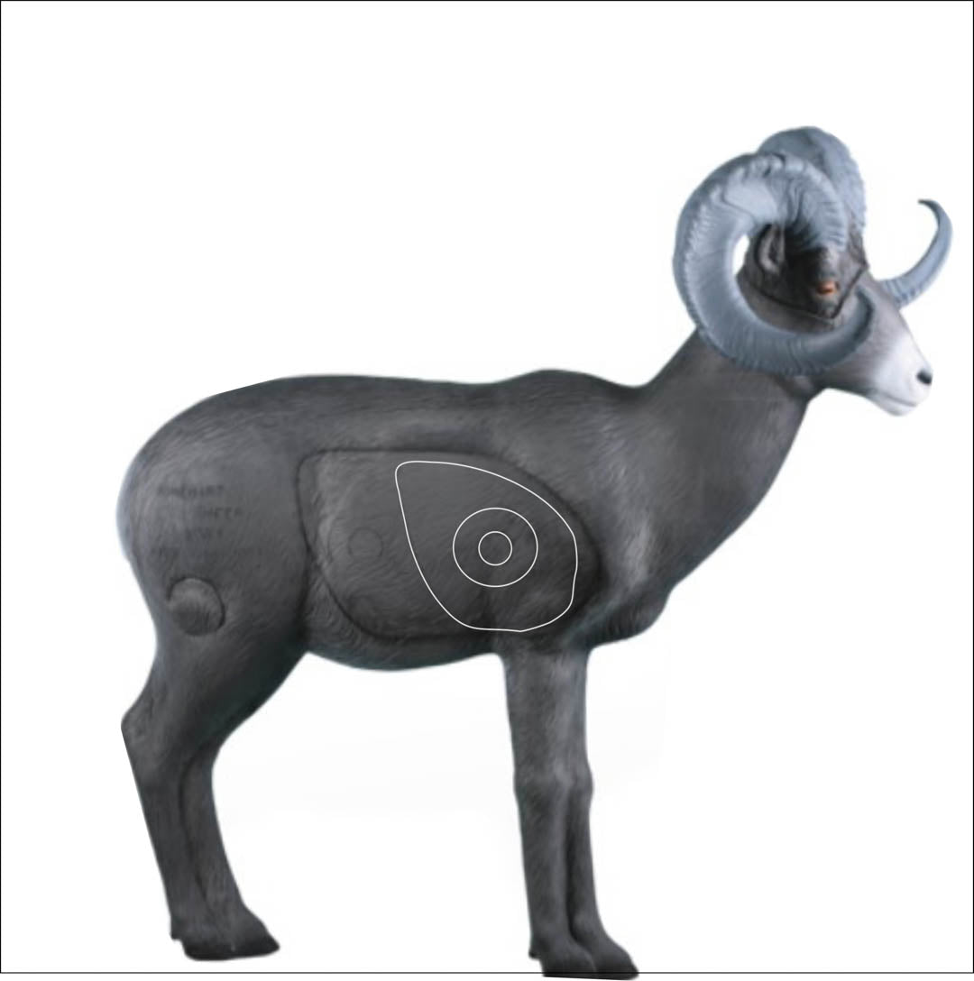 Set of Practice NASP Animal Target Tough Target Faces